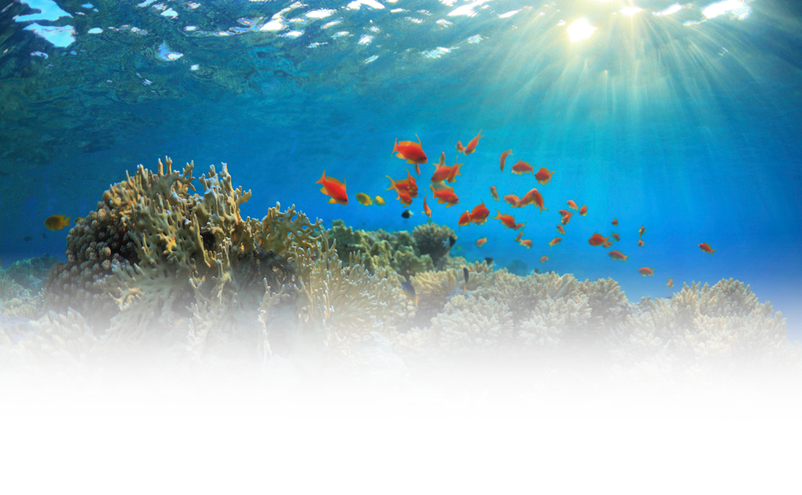 Identificar, medir e influir<br />convincentemente a nuestro <strong>ecosistema reputacional.</strong>